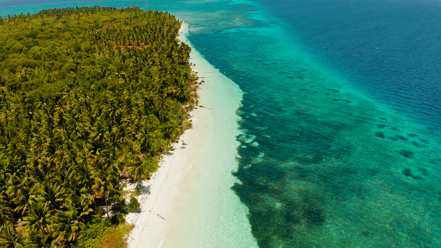 Tropical island with sandy beach. Balabac, Palawan, Philippines