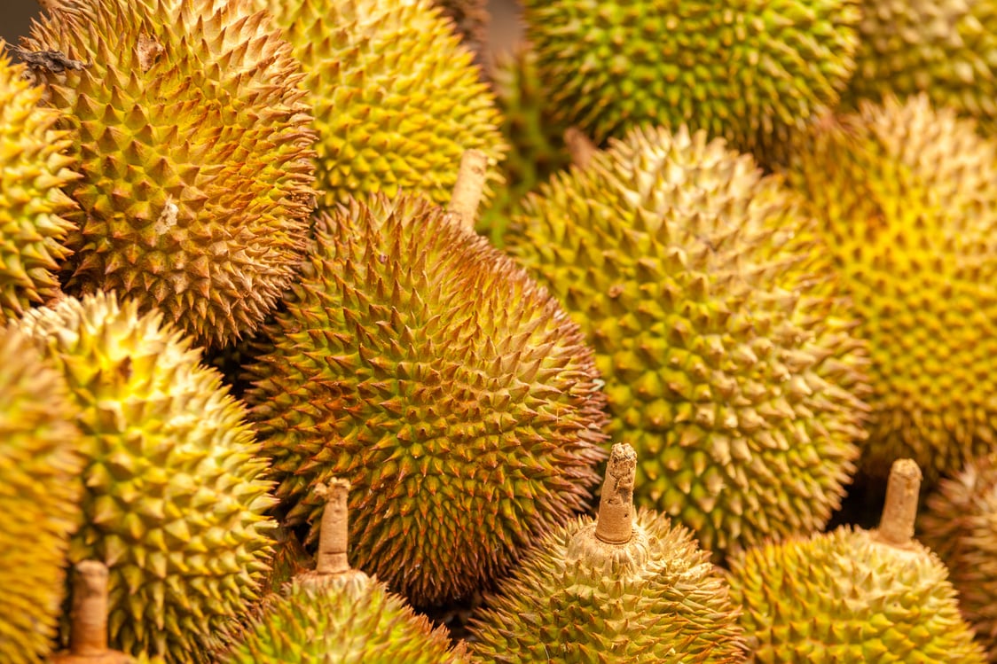 Durian from Davao, Philippines