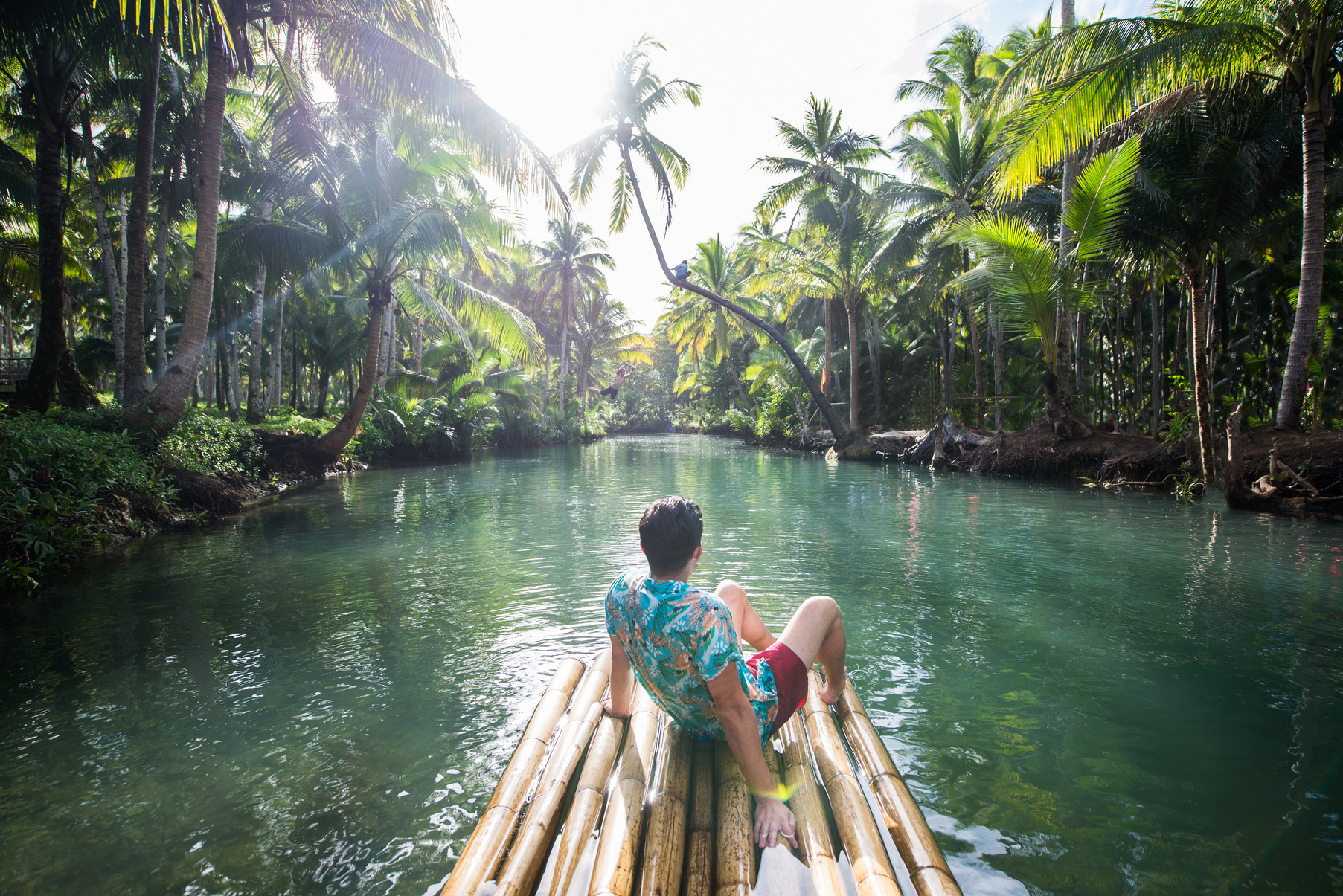 Leaning Palm at Maasin River, Siargao