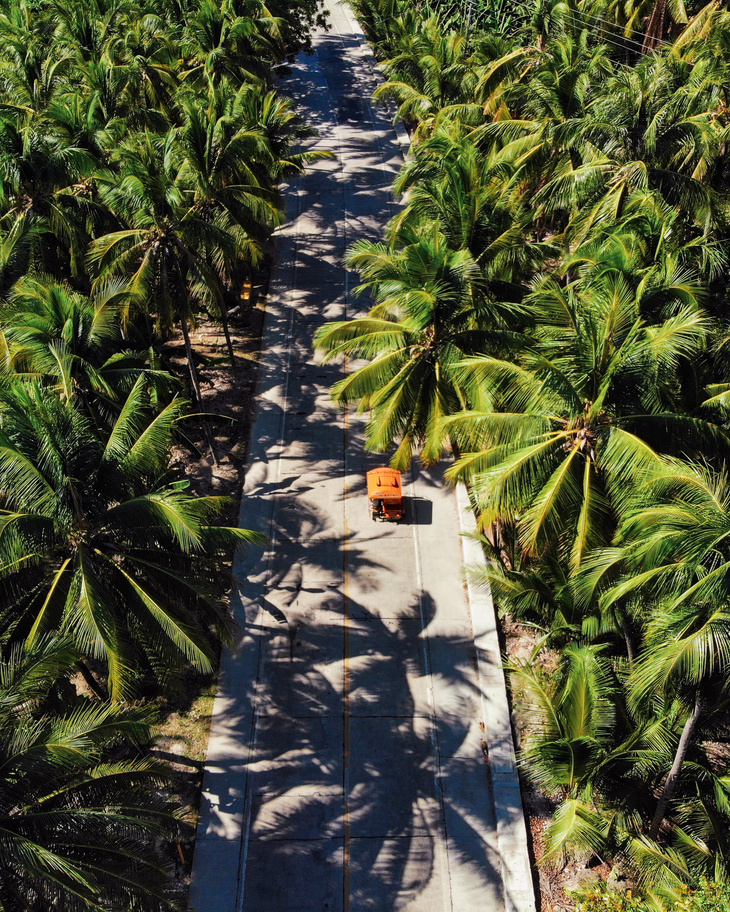 Palm Tree Road at Siargao, The Philippines - Aerial Photograph